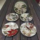 New Vintage Y2k Pottery Barn Christmas Songbird Floral Set 4 8 25  Plates Boxed