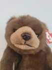 Ty Classic Paws Brown Plush Stuffed Animal  Teddy Bear Toy  18 Inch