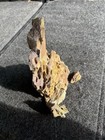 Ohko Stone Dragon Rock For Aquarium   Bonsai Decoration And 5 Lbs Lot 1