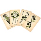 Memento Mori Lenormand Oracle Deck Claire Goodchild Divination Tarot Cards