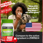 Share Cetirizine Hcl 10mg Tablets 500-count Non-drowsy 24-hour Allergy Relief Fo