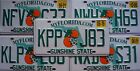 Florida License Plate - Double Oranges Graphic Good License Plate Tags Random  