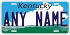 Custom Any State Personalized Car License Plate Any Text