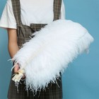 Wholesale 10 50 Ostrich Feathers 6-28inch 15-70cm Wedding Party Decor Costume