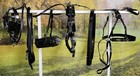 Miniature Mini Horse Brahma Webb Buggy Style Breastpull Driving Harness