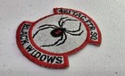Vintage 421st Tactical Fighter Squadron Black Widows Patch Afb Usaf