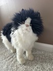 Hansa Cat Plush Realistic Standing Life Size Fuzzy Black White Kitty 4221