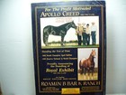 Vintage Appaloosa News Magazine Original January 1987