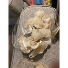 Vintage Cream Fascinator Headband Set Birdcage Veil Floral Wedding Tea Party Hat