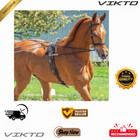 Vikto Premium Professional Heavy Leather Horse Training Multi-ring Surcingle