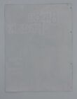 Rare The Bride Of Frank Flyer 8 5 X 11  Sov Shot On Video