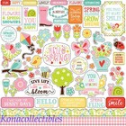 Echo Park Spring Fling Collection Kit 12 X 12 Double-sided Pink  Flowers  Plaid