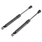 Tailgate Trunk Lift Supports 2pcs Hatch Rear Side Struts Black Steel R19