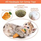 5pcs Catnip Toys  Cat Chew Toy  Catnip Toys For Cats  Cat Toys With Multi-color