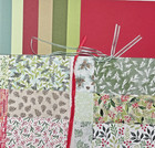 Painted Christmas  Stampin  Up  Christmas Card Kit  Dsp  Card Stock  Ribbon