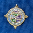 Truth Or Consequences Pin New Mexico City Seal Logo Souvenir Pinback Hat Pin