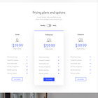 Business Website Design With Free Vps Web Hosting And Installation