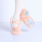Professional Ballet Shoes Sole Girls Ballerina Dance Mesh Splice Ballet Slippers