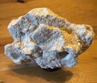 Magnetic Coral Frag Rack Reef Scape Designs  Small