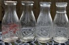 South Florida Milk Bottle Lot Of 4 Pints Mooving It To A New Owner To Enjoy Save