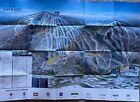 Pristine Winter 2024-2025 Okemo Mountain Resort Trail Map     Brand New   Unused 