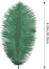 Blackish Green Ostrich Feathers 12pcs Natural Bulk 8-10inch 20cm-25cm For Cra   