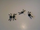 Nwot Goth Black Spider Pierced Earrings 