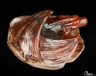 3 7  Empire Red Agate Hand Carved Crystal Dragon Sculpture  Crystal Healing