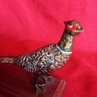 Stunning Antique Large Sized Cold Painted  Pheasant Mounted On A Base