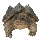 Snapping Turtle Garden Statue Lifelike Yard Decor Wildlife Reptile Display