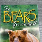 Alaska Brochure Bald Mountain Air Service See Bears Guaranteed Pamphlet Travel