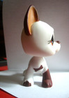 Littles Pet Shop Lps  577 Great Dane 1 Brown   1 Blue Eye White   Brown Body Wow