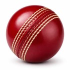 Sg Club Cricket Ball Leather red  Standard Size