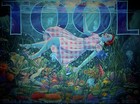 Tool Poster 9 19 2026 Riot Fest Chicago Illinois Douglass Park  490 Lori Nelson