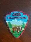 Patch Yellowstone National Park - Junior Ranger - Souvenir - Wyoming - Bison