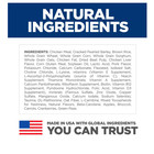 Senior 7  Small Bites Chicken Recipe Dry Dog Food 33lb Hill s Science Diet