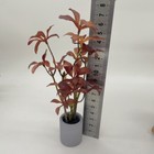1 6 Scale Dollhouse Miniatures 11 5  Inch Green Potted Plant Tree Mini Garden