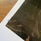  1984 Promo  Original Poster   ronnie James Dio   Rainbow  black Sabbath  Metal