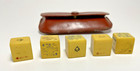 Poker Dice Celluloid Bakelite  set Of 5  With Brown Leather Case Vtg