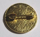 Rare Girl Scout 1987-2011 Honor Pin Outstanding Volunteer Adult Leader Service