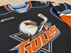 San Diego Gulls Game Worn Used Ahl Ccm Authentic Mic Jersey Ducks 56 Mclaughlin