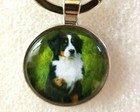 Bernese Mountain Dog In Green Field Round Silver Alloy Key Ring Keyring Jewelry