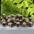 20pcs Mini Skull Figure Collectable Halloween Miniature Skulls Heads