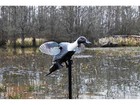 Mojo Elite Series Pintail Motion Duck Decoy
