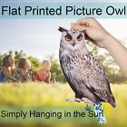Owl To Keep Birds Away  3 Pack Bird Scare Owl Fake Owl  Reflective Hanging Bird 