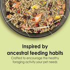 Food From The Wild Natural Pet Guinea Pig Food  4 Pound