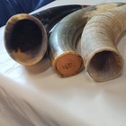 Cow Horn Collectibles Set Of 3 Decorative  Engraved  the Alamo   Various Colors