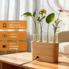 Rechargeable Plant Propagation Station With Wooden Stand desktop Terrarium Ho