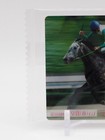 Mejiro Mcqueen Thoroughbred Horse Collection Trading Card Bandai Japan I279