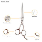 Professional Hair Cutting Scissors Hairdressing Barber Salon Japanese Shears